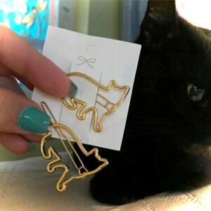 3/$22🩶 Cat Hair Clip Barrette Fashion Hair Accessories Gold Tone 2 Pc Kitty
